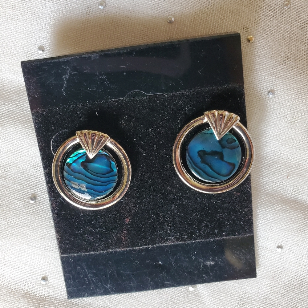 Abalone earrings, silver metal, for pierced ears